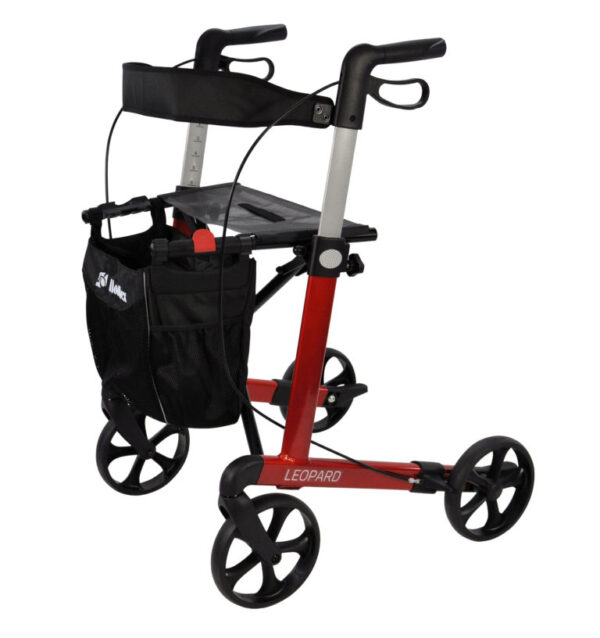 Leopard Walker 62cm
