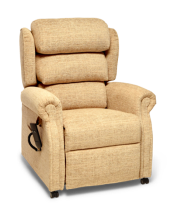 Express Domestic Wide Petite
