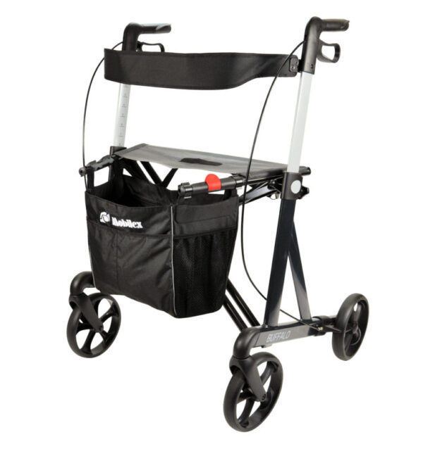 Bariatric Rollator